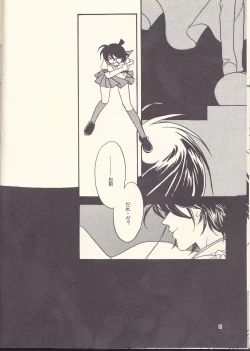 Page 10 of Kagayai usagi