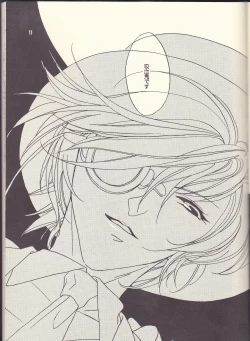 Page 11 of Kagayai usagi