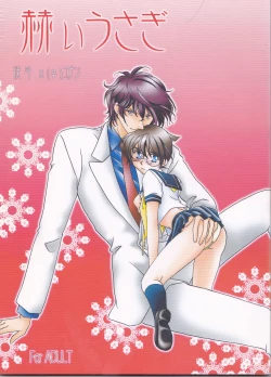 Page 1 of Kagayai usagi