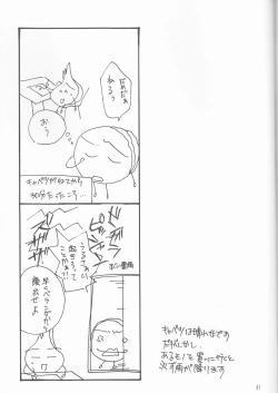 Page 41 of Kagayai usagi