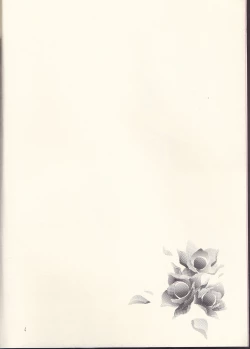 Page 4 of Kagayai usagi