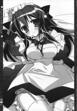 Page 2 of Night Maid Bird Cage.