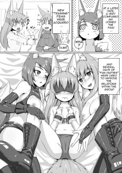 Page 13 of FOX MANIAX2