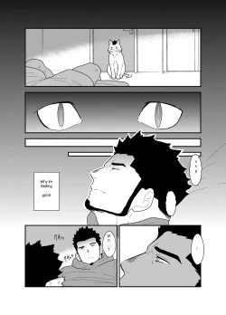 Page 8 of Bakeneko Katari