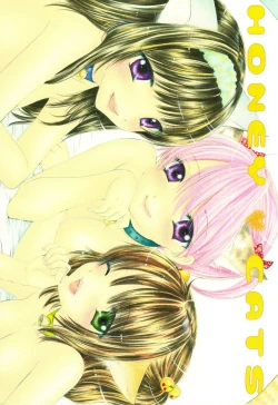 Page 1 of HONEY CATS