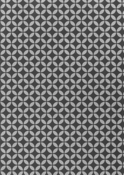 Page 3 of Brilliant Hermit