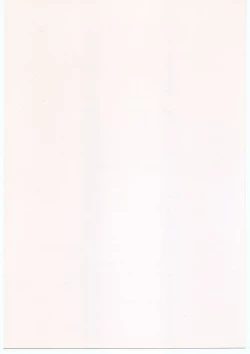 Page 12 of M.F.H.H. 'HMM' Junbigou