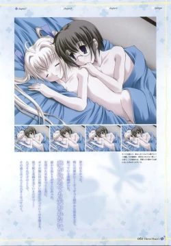 Page 63 of clover heart's visual fan book