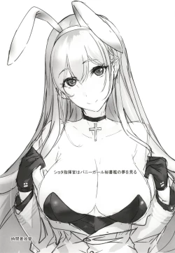 Page 3 of Shota Shikikan wa Bunny Girl Hishokan no Yume o Miru