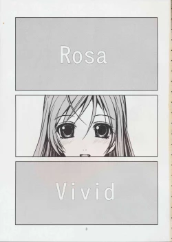 Page 3 of RV - Rosa Viva