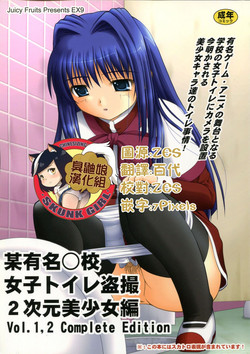 Download Bou Yuumei Koukou Joshi Toilet Tousatsu 2-jigen Bishoujo Hen Vol. 1, 2 Complete Edition
