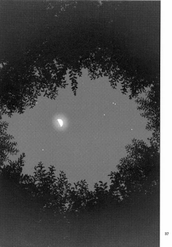 Page 36 of Kanjiru Chikubino Tsukurikata