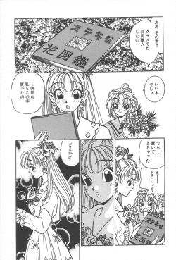 Page 33 of mogitate peach