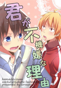 Download Kimi ga Fukigen na Riyuu