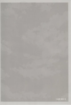 Page 4 of CANDY BELL 12