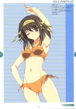 Page 15 of SELF PORTRAIT