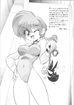 Page 3 of DX Deluxe Chuuka Sanmai