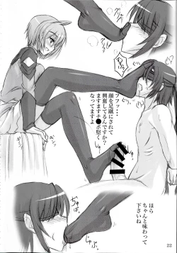 Page 21 of Woso Yoridori 5 Ashi Set