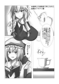 Page 29 of Touhou Bouchoushi `Boujo Final!!!!!!!!'