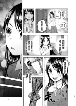 Page 17 of Uso mo Tsukanai Junsui na Sonzai