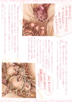 Page 17 of PrelfIllust No.4.5 NovelizeComic