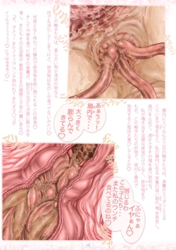 Page 21 of PrelfIllust No.4.5 NovelizeComic