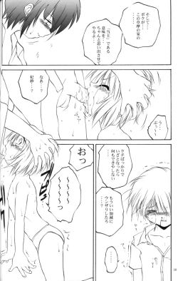 Page 17 of mi-nicola