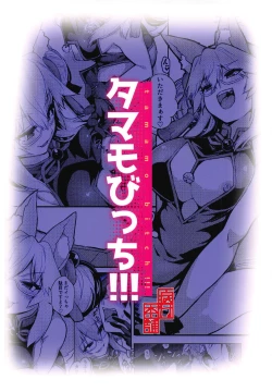 Page 20 of Tamamo Bitch!!!