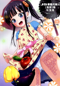 Download JS Kaji Daikoude Ecchigurashi | JS家務代辦人地H生活