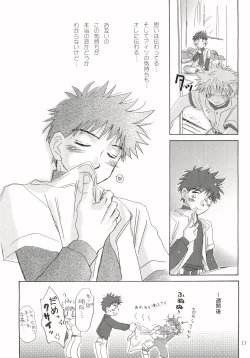 Page 12 of Aidikara Love Force 1