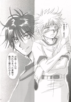 Page 13 of Aidikara Love Force 1