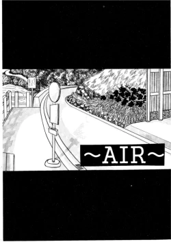 Page 3 of AIR