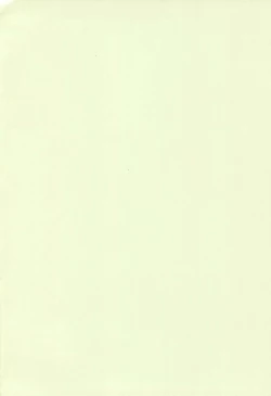 Page 4 of magnetic summer