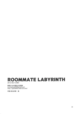 Page 32 of ROOMMATE LABYRINTH