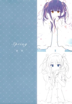 Page 8 of Gypsophila