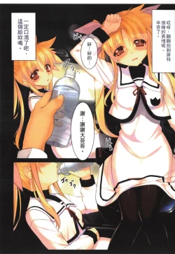 Page 14 of Tsukareta Anata o Iyashite Kureru Lyrical Mahou Shoujo Soushuuhen +α