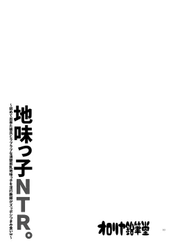 Page 2 of Jimikko NTR.