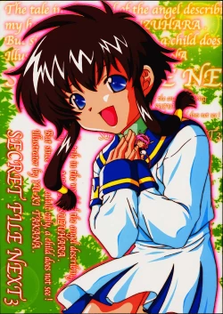 Page 1 of Secret File Next 3