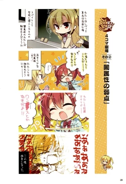 Page 25 of Riddle Joker Offical Visual Fan Book