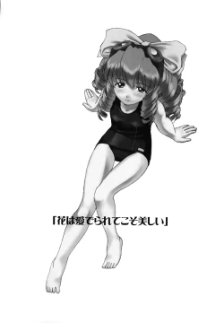 Page 2 of Hydros. Offer of illusion