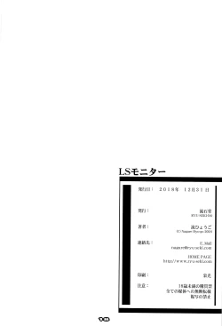 Page 17 of LS Monitor