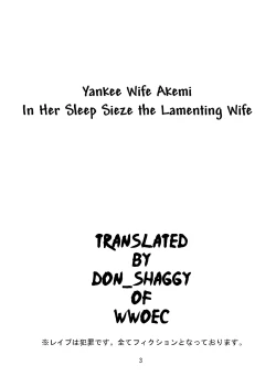 Page 3 of Yankee Zuma Akemi