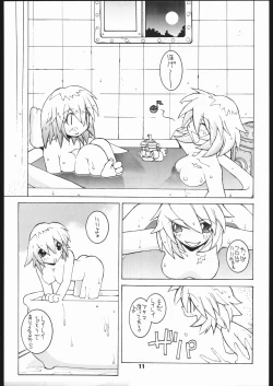 Page 10 of Nehan 5.2