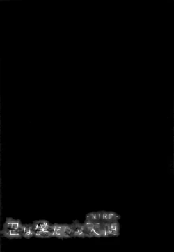 Page 21 of Kimi wa Boku dake no Tenshi