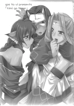 Page 3 of kimi ga tame