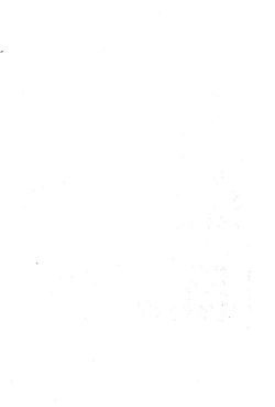 Page 2 of MEDAROT Take