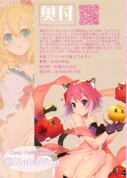 Page 14 of Princess Mizugi Connect! Re:Dive