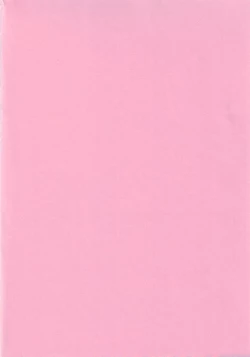 Page 3 of Rose Water 22 EXCEED