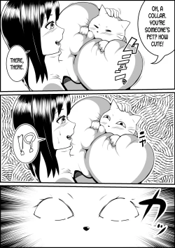 Page 5 of Kaineko ga Aruhi Bijo ni Nattara