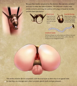 Page 13 of D vs N Ch. 2